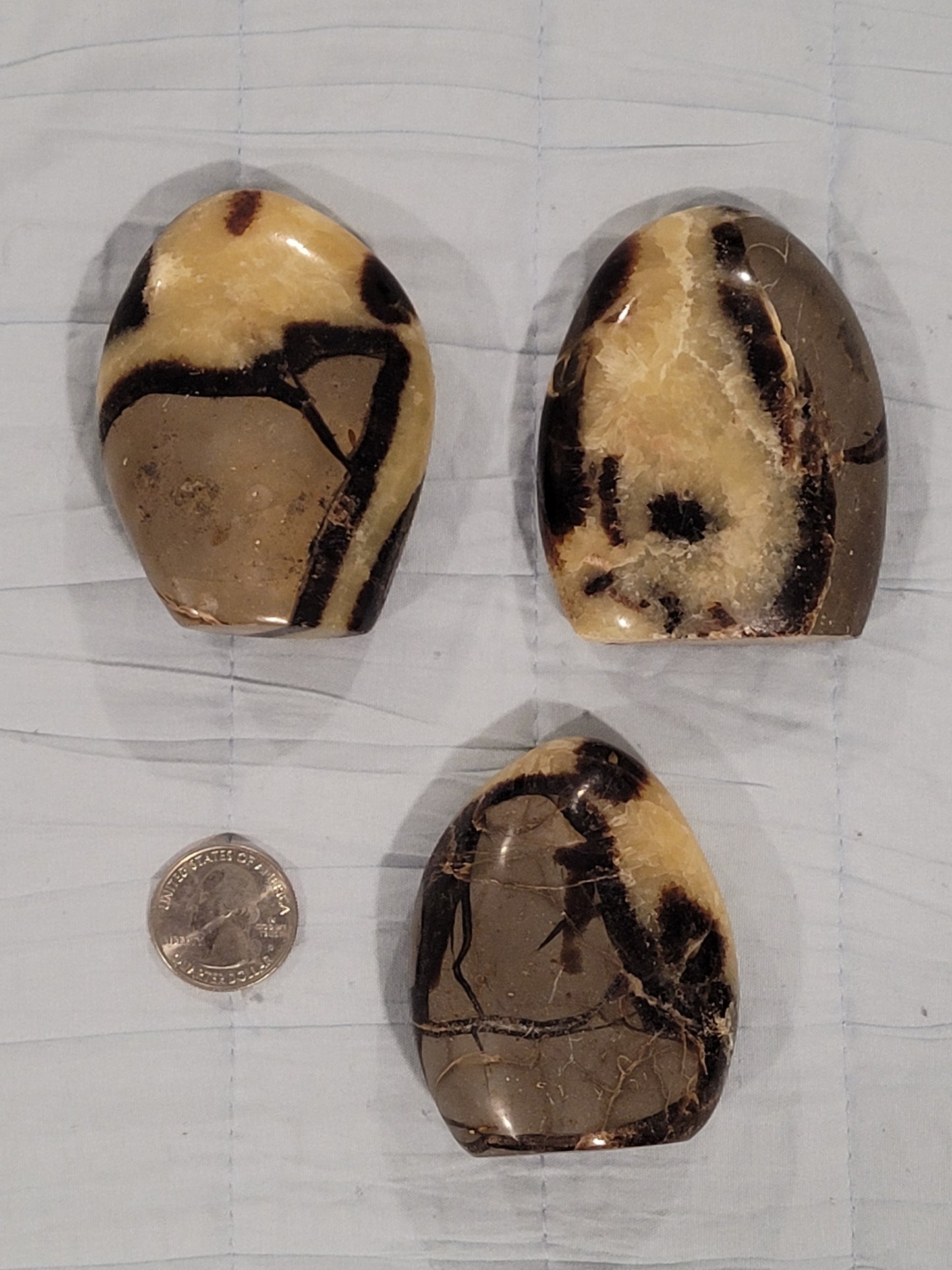 Septarian Free Form